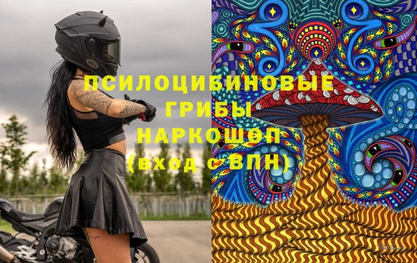 a pvp Володарск