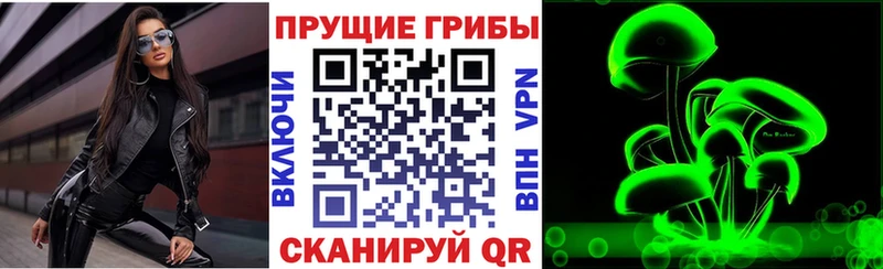 Купить закладки  Советский  Галлюциногенные грибы Cubensis 